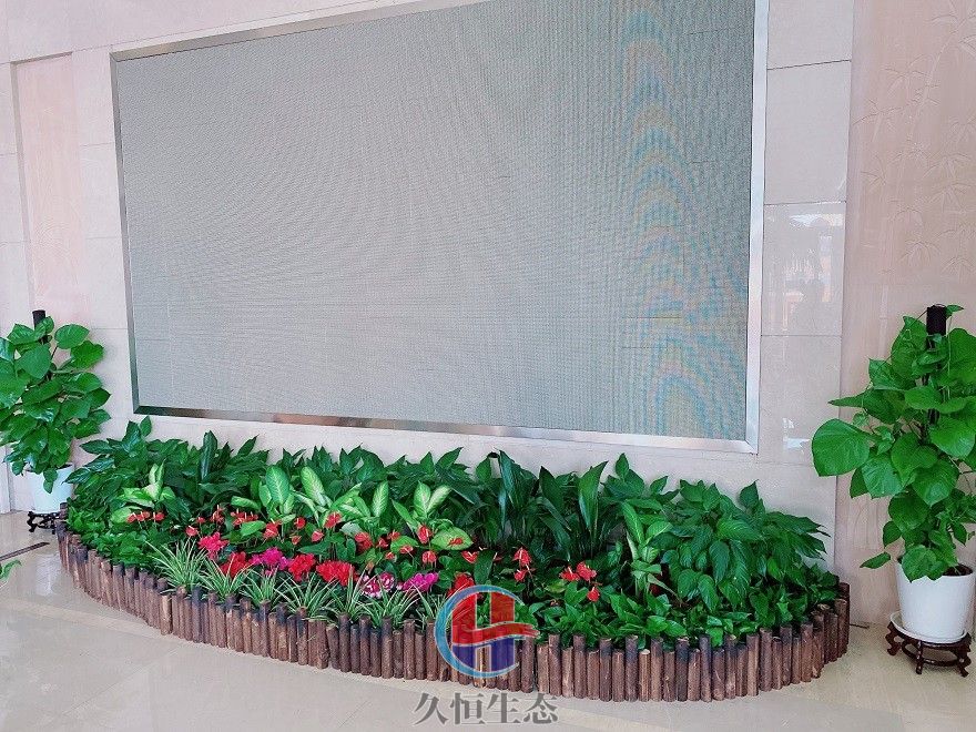 海宁企业大厅显示屏组合花卉绿植摆放