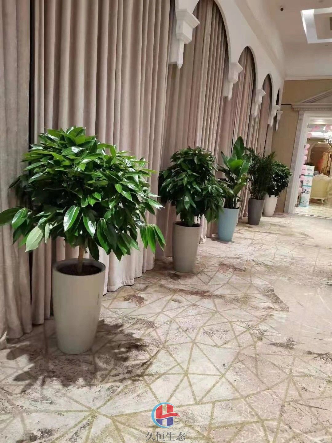 海宁酒店走廊花卉绿植摆放